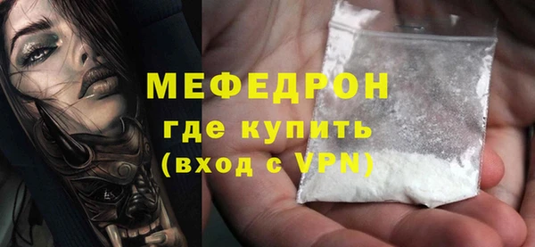 молекула духа Богородицк
