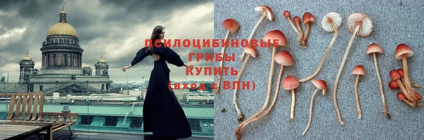 молекула духа Богородицк