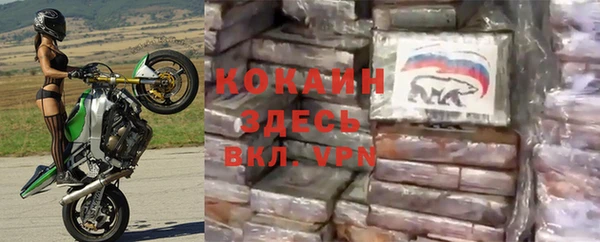 молекула духа Богородицк