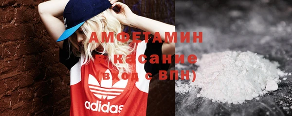 молекула духа Богородицк